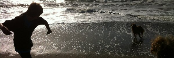 TimSmithfsusd Profile Banner