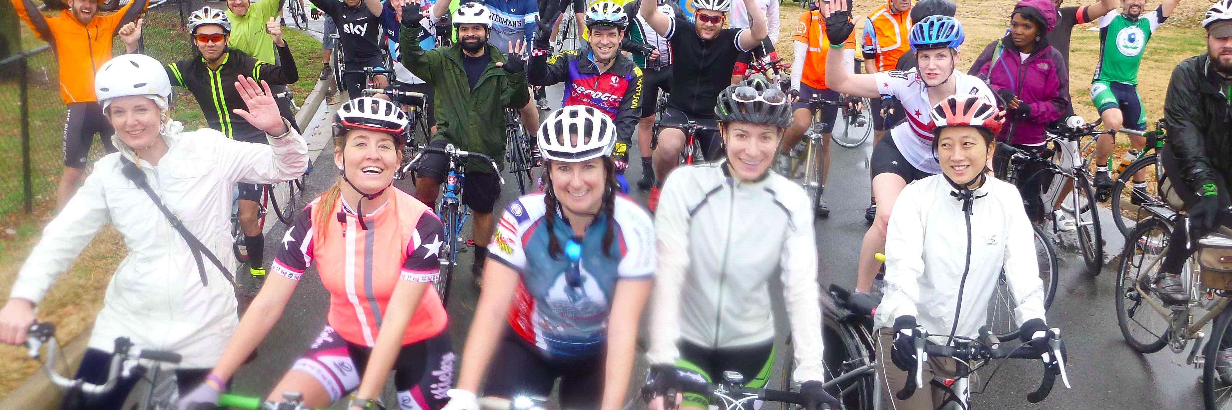 HainsPoint100 banner