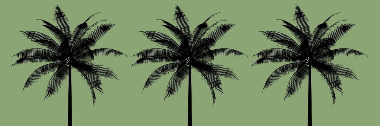 David. banner