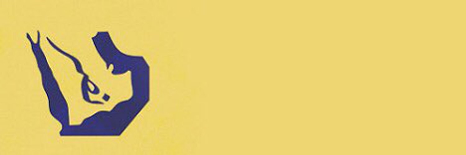 v_v9o's profile banner image