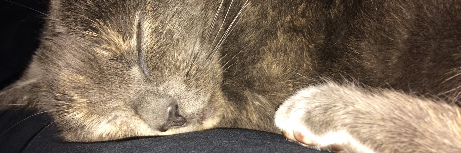LiviJane0's profile banner image