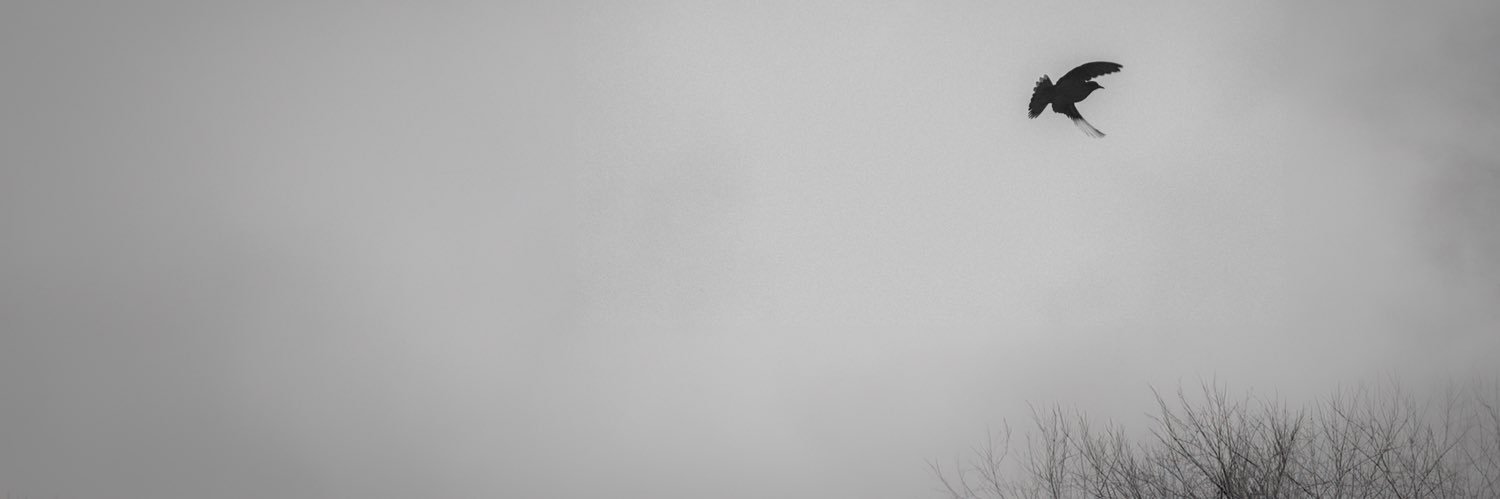 bandeclay99's profile banner image