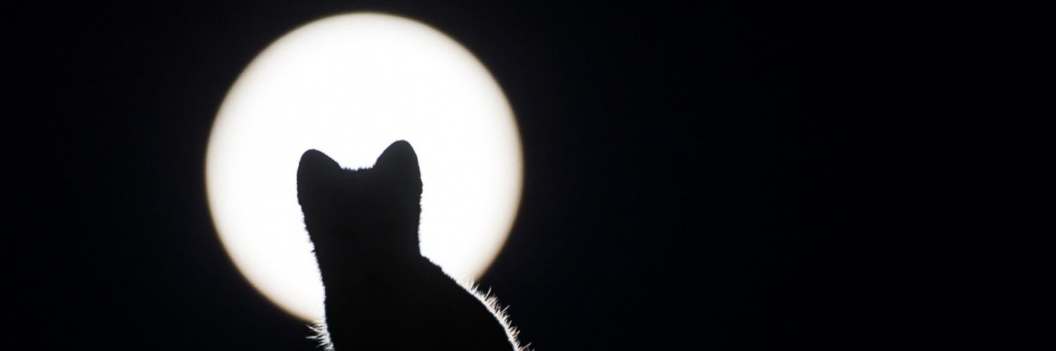 MatrixWizard22's profile banner image