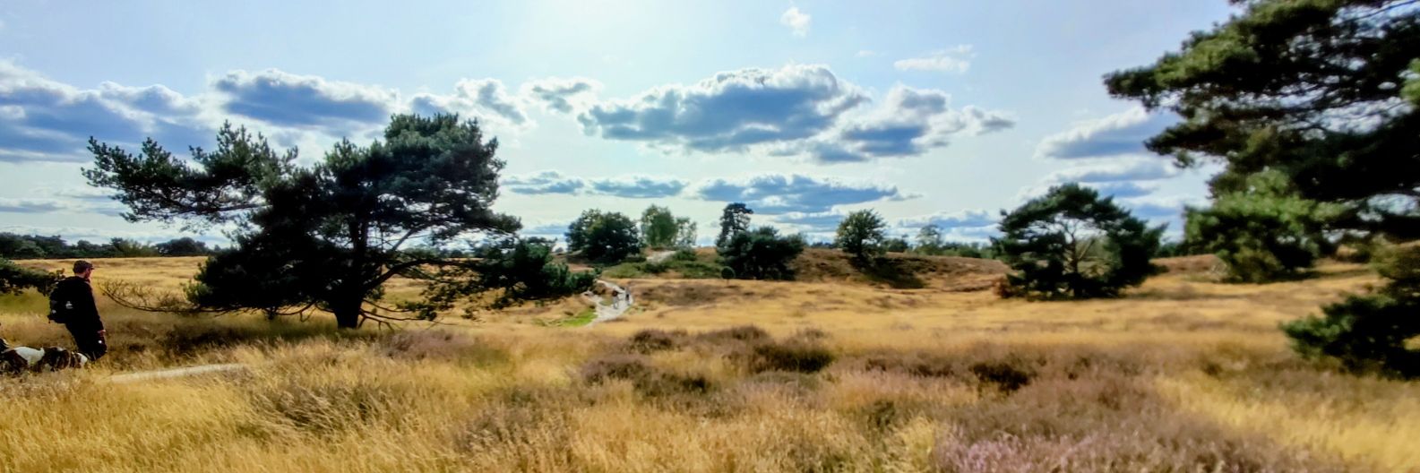 Leonardo Castanedo banner