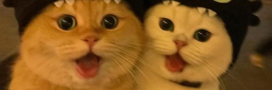 Ay. banner
