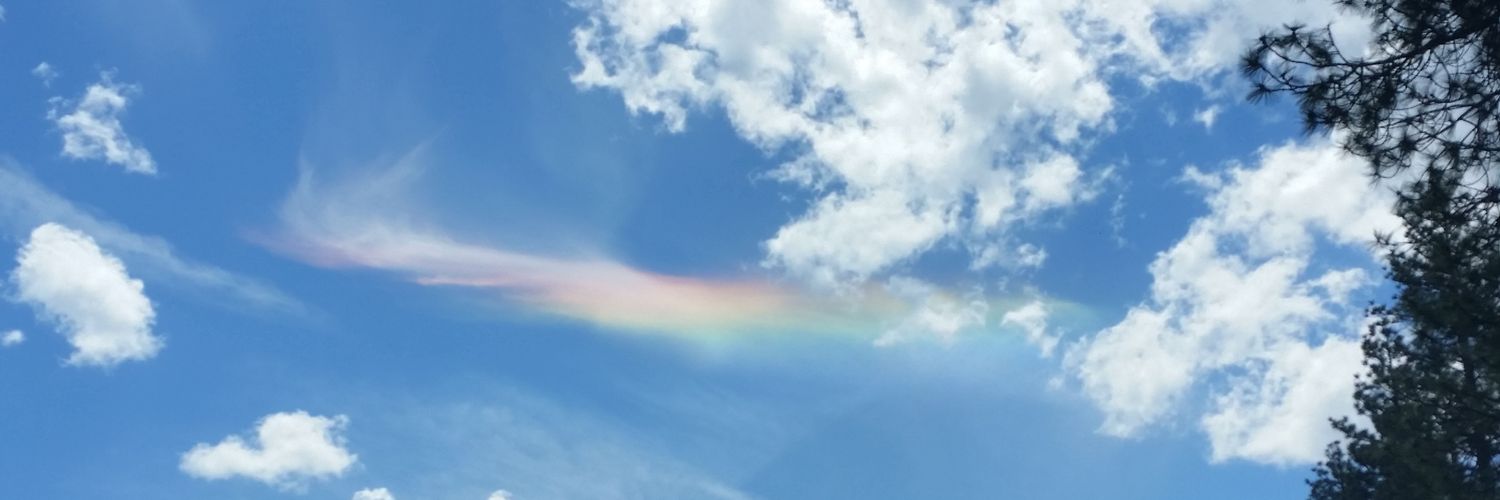 StephKnowS-it 🏳️‍🌈 (she/her) banner