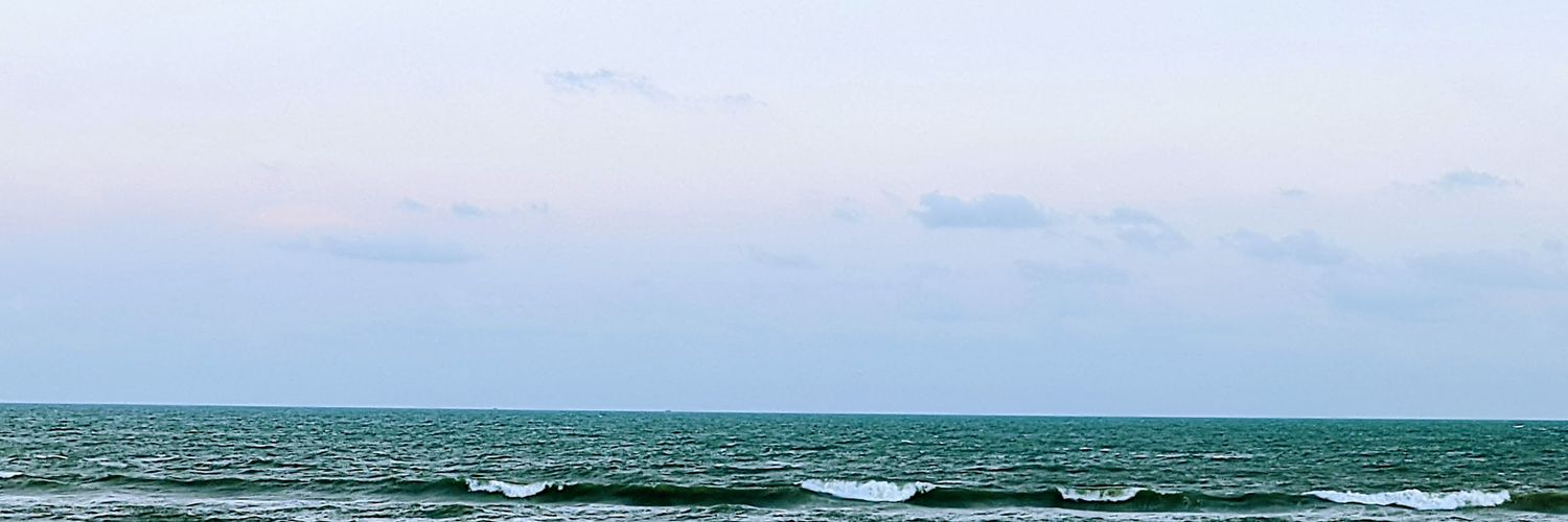 asmini_ray's profile banner image