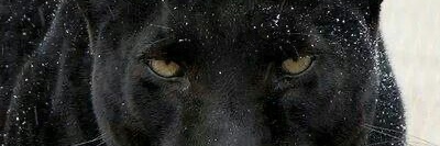 KamarStyle's profile banner image