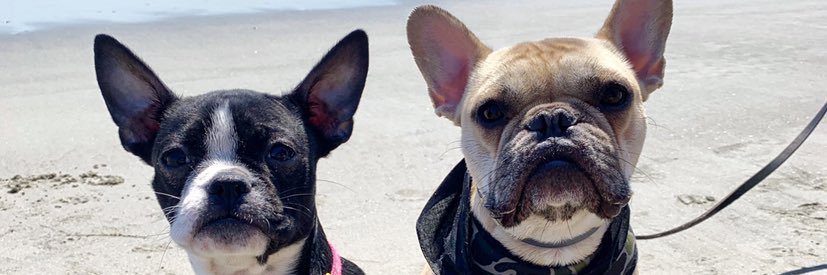 maddyloo1's profile banner image