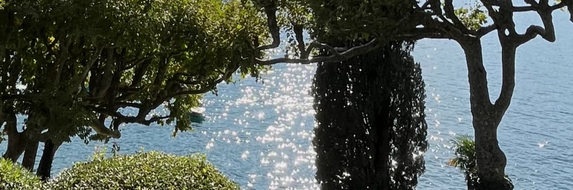 andrewhitzz's profile banner image