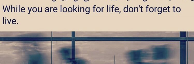 Open____minded's profile banner image