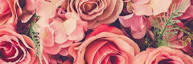 s_srey's profile banner image