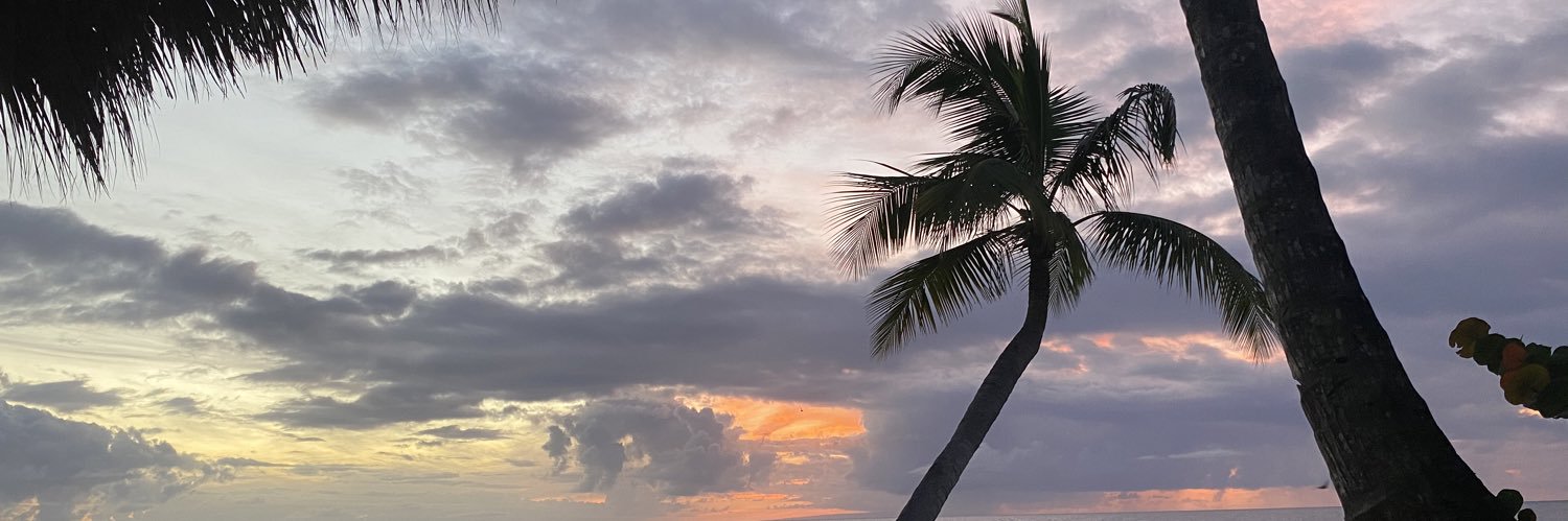 cramosvives's profile banner image