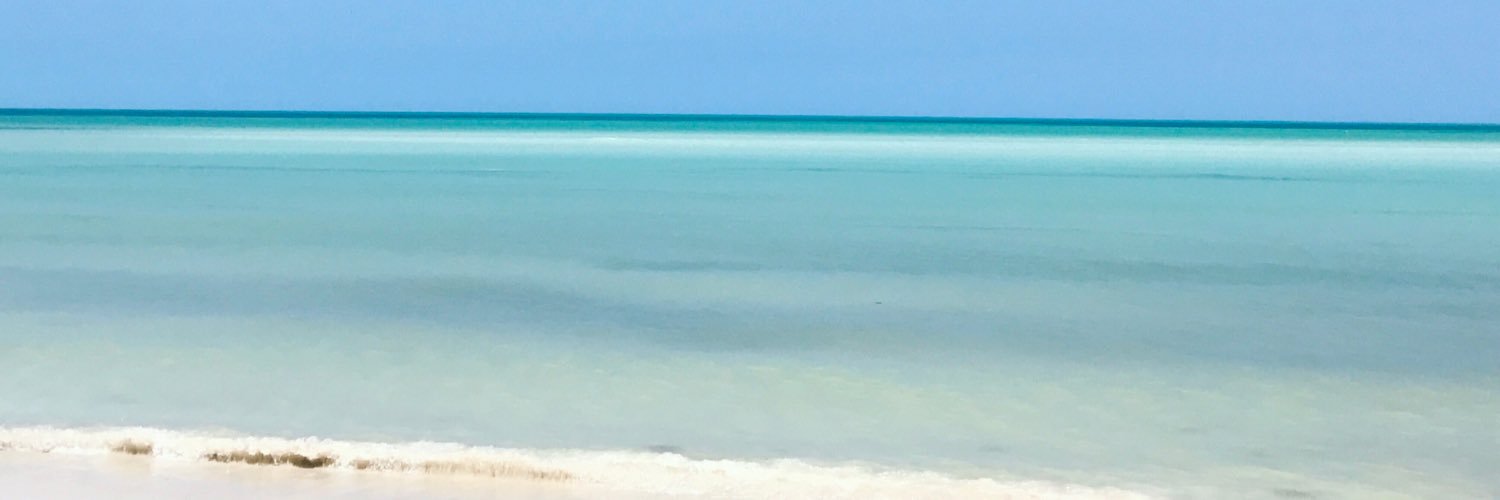 BacqueCande's profile banner image