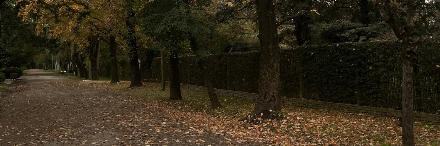 sofia banner