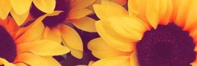 Sah_camposs's profile banner image
