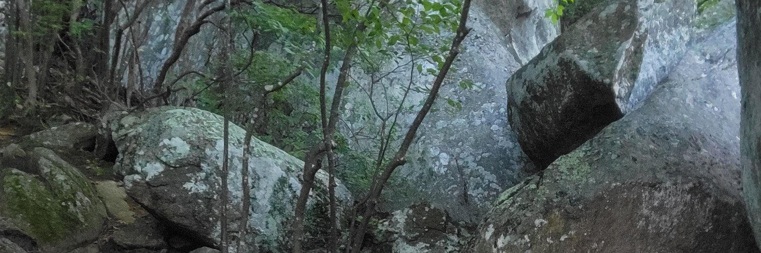 teaNcakeclue's profile banner image