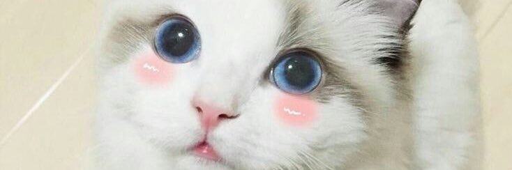 🌈 U - ME🪐 banner