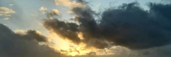 penguinvondoom Profile Banner