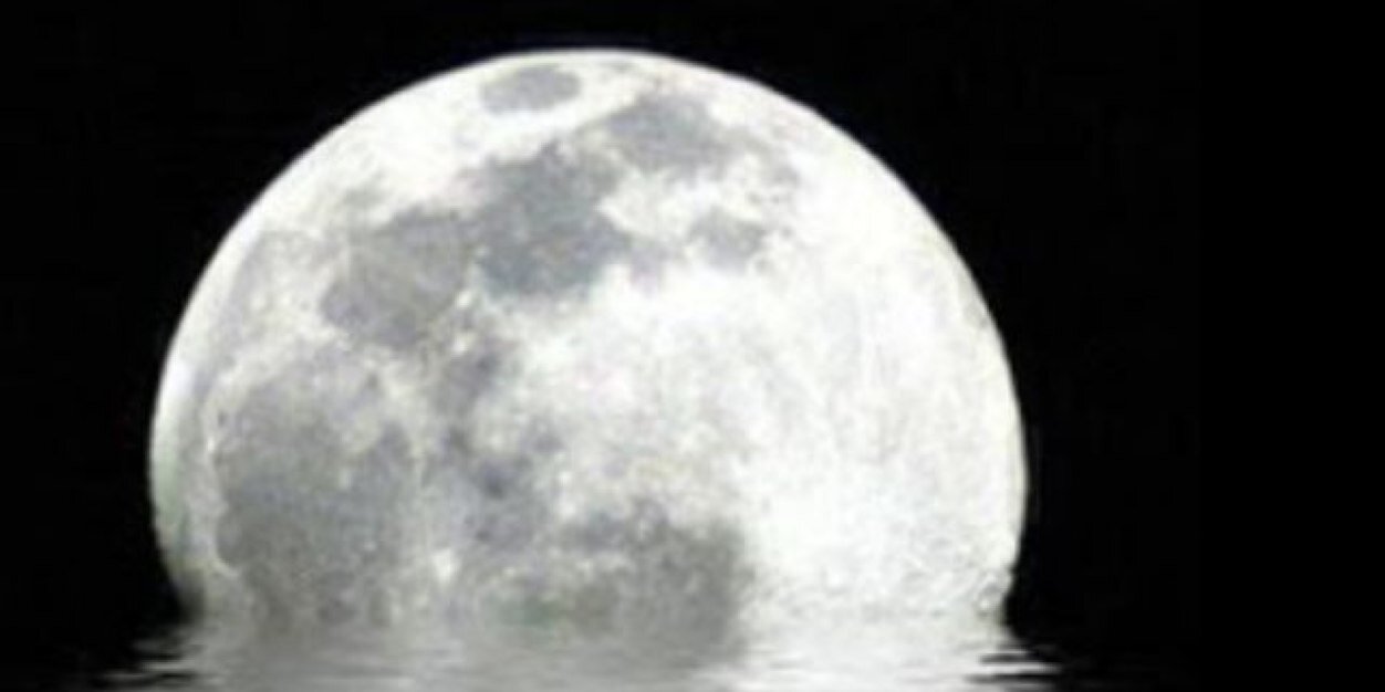 علي بن نوح بن ذهيب banner
