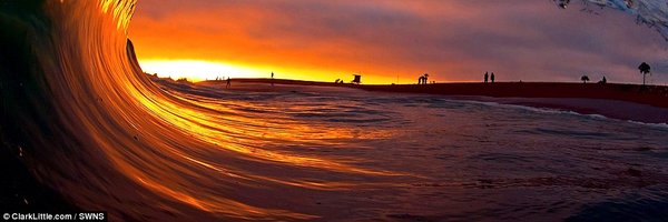 WayneKirby2 Profile Banner