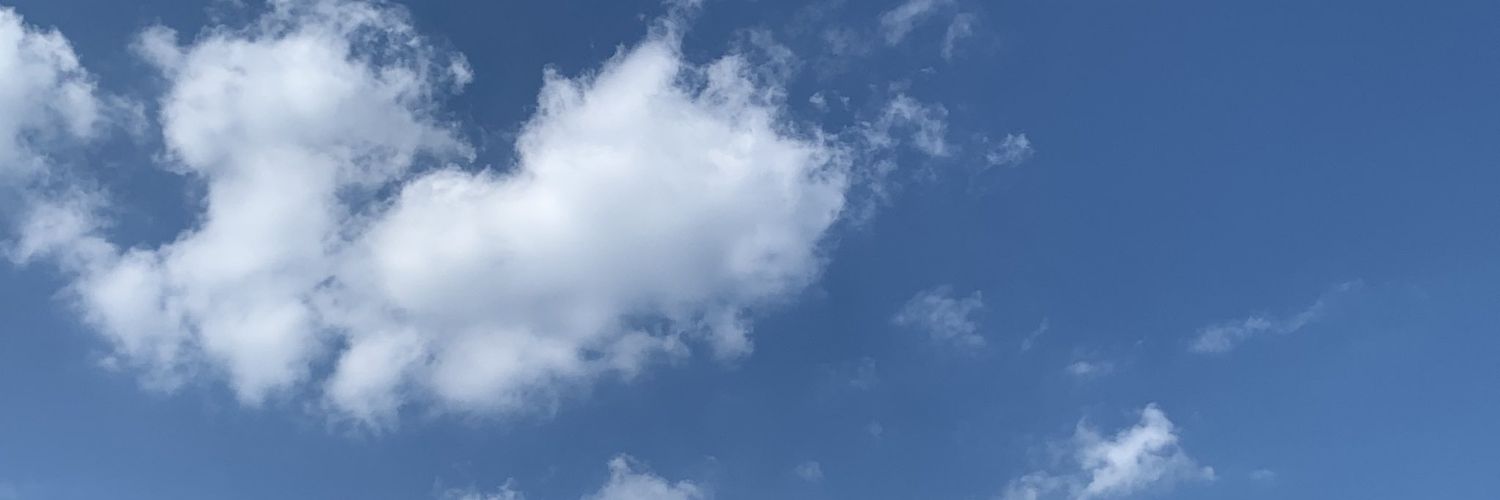 JannieB2020's profile banner image