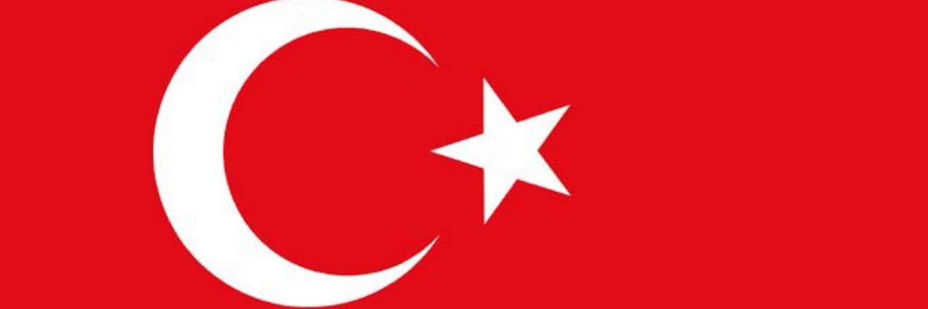 TcUMUT11's profile banner image