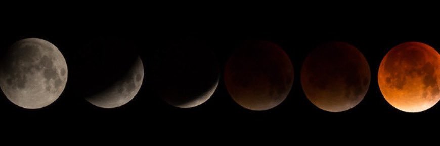 mkyngyn's profile banner image