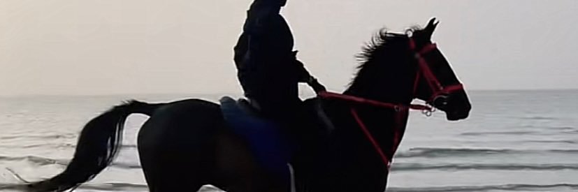mnsa_a_'s profile banner image