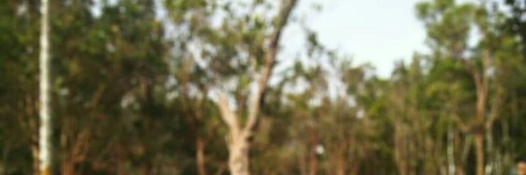 Farrest_98's profile banner image