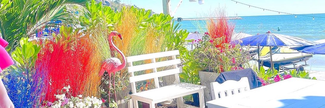 ◡̈ aυgυѕт💚(F4F) banner