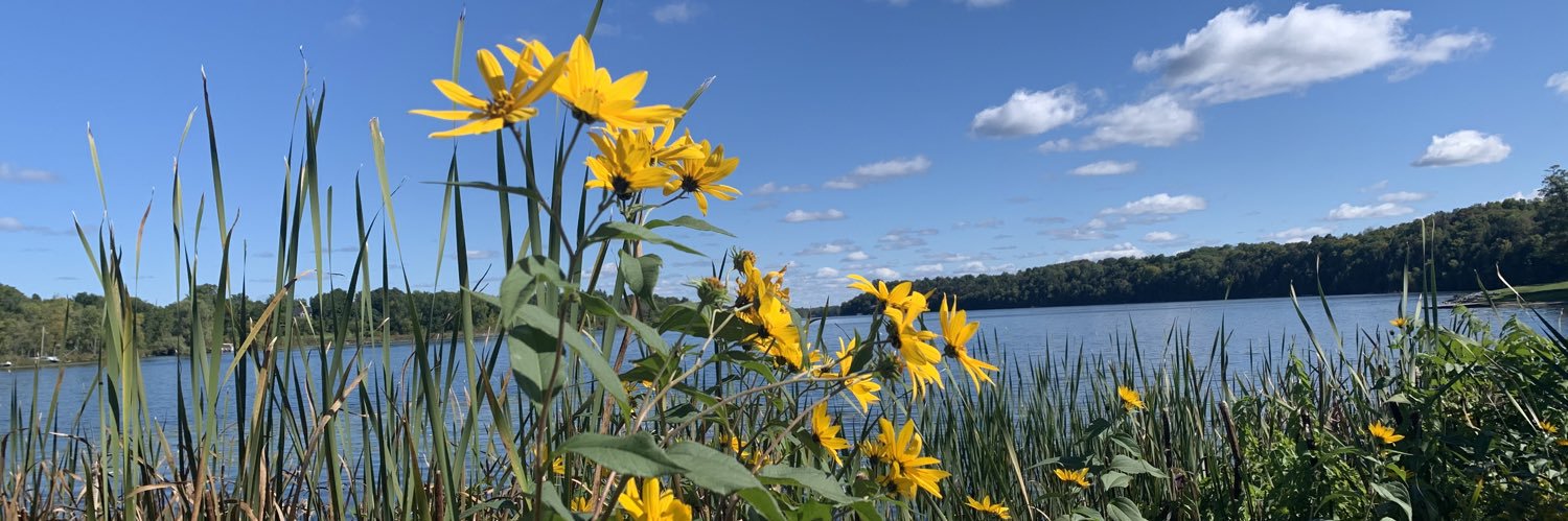 Heather Healey banner