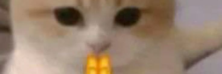 DD_ishere's profile banner image
