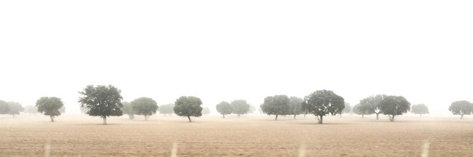 César Serrano García banner