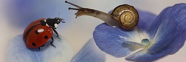 millewluv's profile banner image