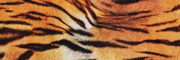 cersiliax's profile banner image