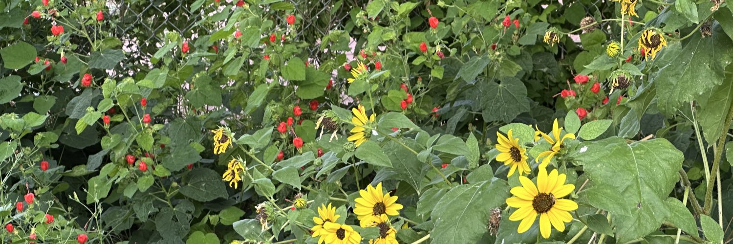 Carolyn Gonzalez 🇺🇸🇺🇦🪷 banner