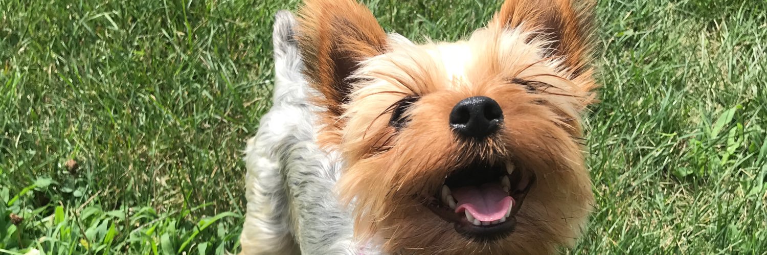 bailey_rust's profile banner image