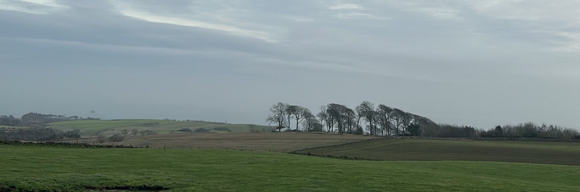 John Rutherford banner