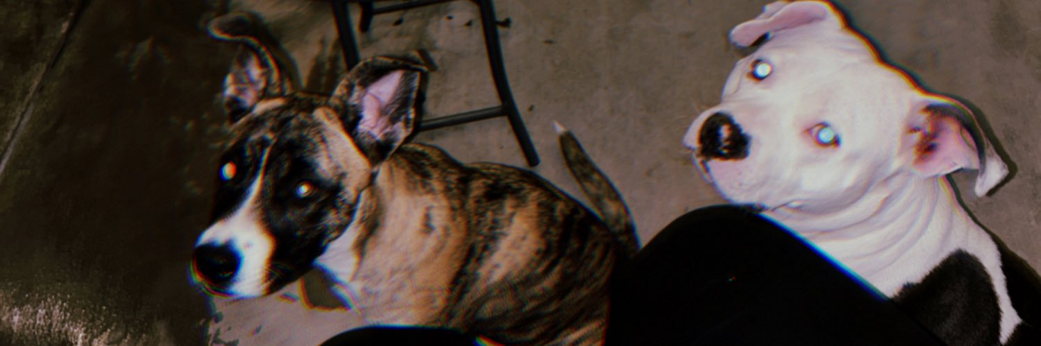 binancaa's profile banner image