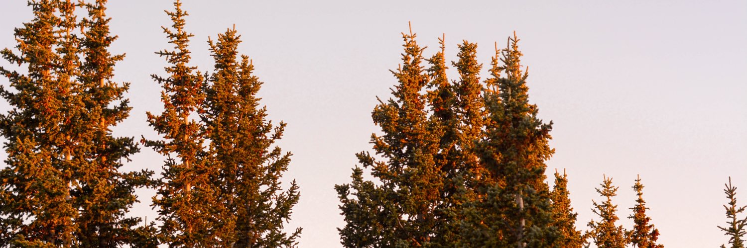 ashleyt_98's profile banner image