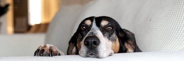 dustinkittle Profile Banner