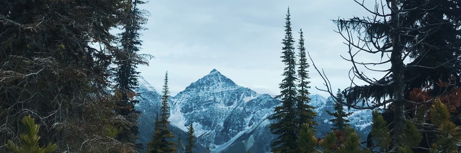 madisyn_xo's profile banner image