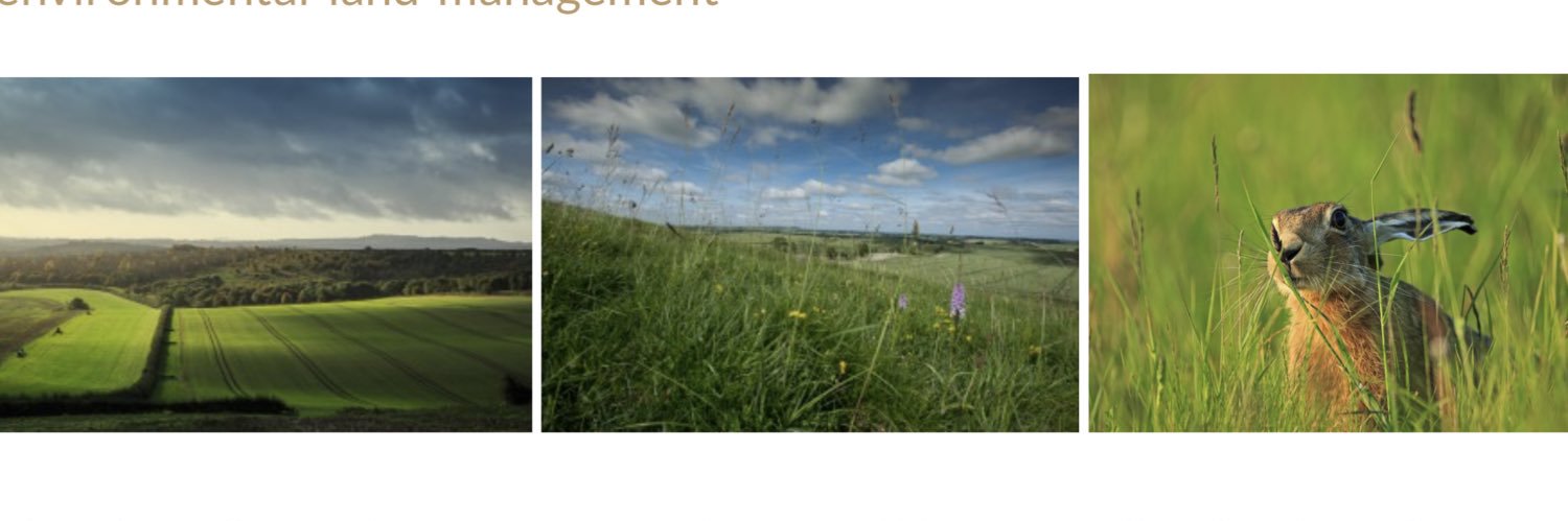georgepaton's profile banner image