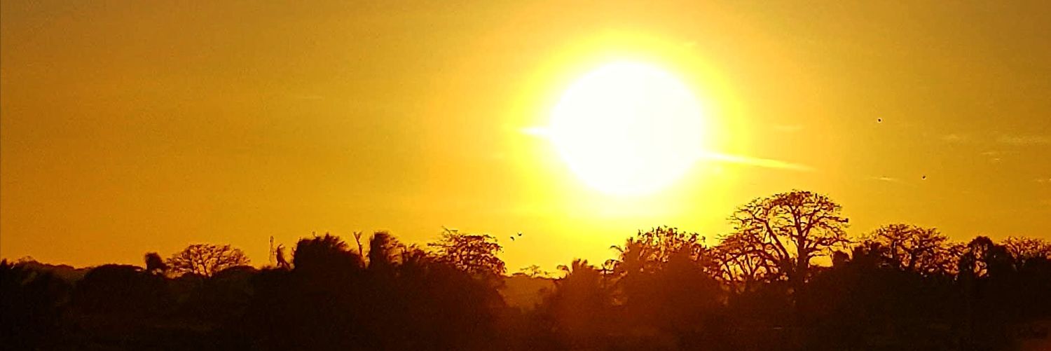 NLNH22's profile banner image