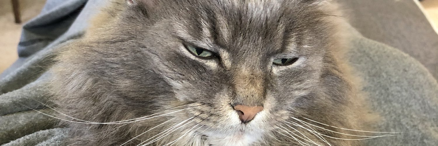 Ruckette617's profile banner image