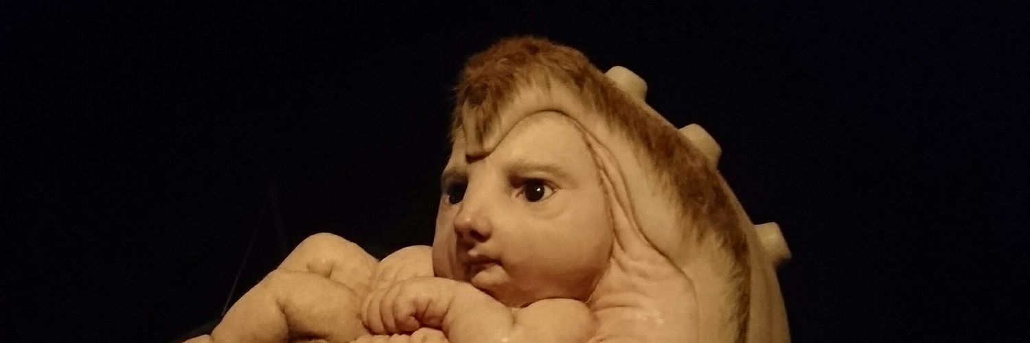 shirisagari's profile banner image