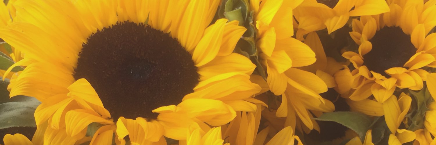 itsReeceFord's profile banner image