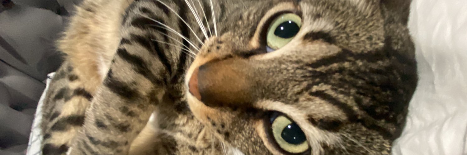 damnitmariah's profile banner image