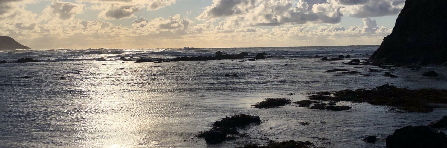 Darren Carter CPP MSyI F.ISRM banner